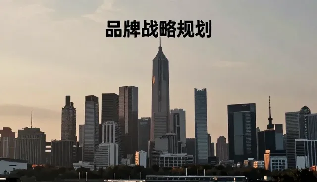 品牌定位在管理咨询中的适用条件与选择依据