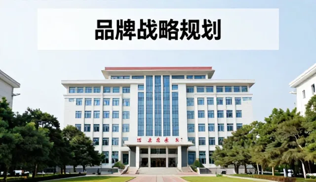 性能评估在品牌咨询中的实际应用价值分析